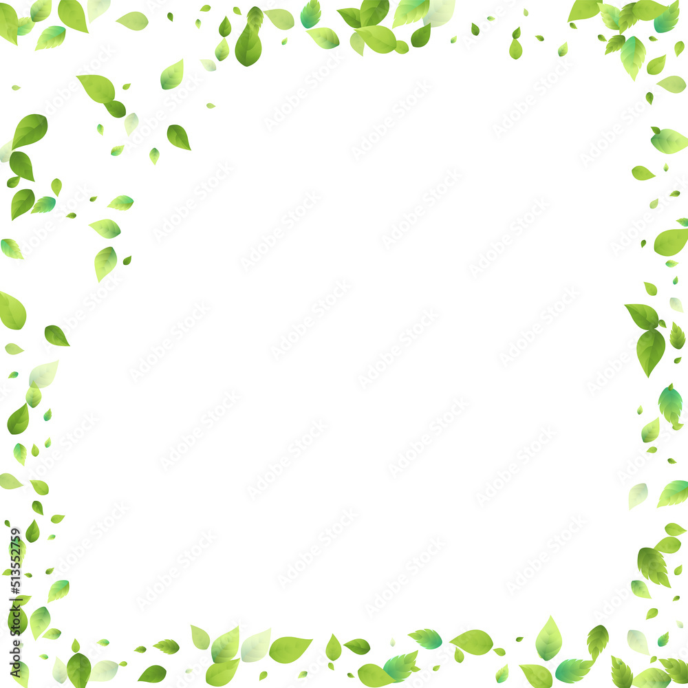 Leaves Green Falling Flying Foliage Leaf Tea Mint Leaves Green Falling Flying Foliage Leaf Tea Mint