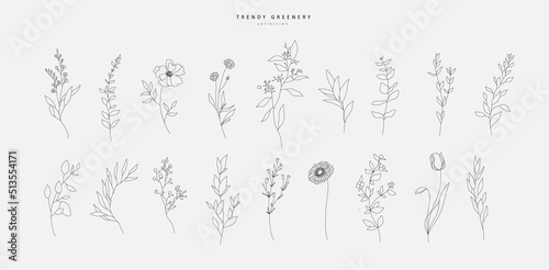 Set of Botanical arrangement of leaves branches and blooming flowers. Vector ornamental herbs and wildflowers for bouquet. Wedding design
