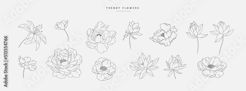 Set of luxury flowers and logo. Trendy botanical elements. Hand drawn line leaves branches and blooming. Wedding elegant wildflowers for invitation save the date card. Vector