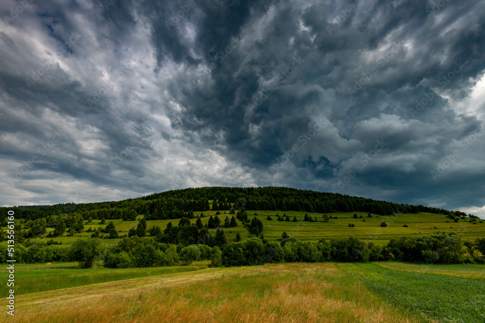 Gathering storm clouds over young pine forest at summer in the Carpathian mountains.