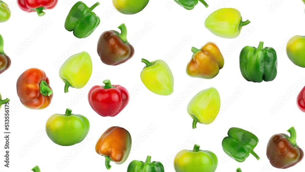 Background from colored raw bell peppers on the white background Background from colored raw bell peppers on the white background