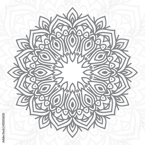 Decorative mandala design background illustration ornamental vector