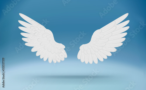 Cartoon white wings. Isolated White Angel Wings.