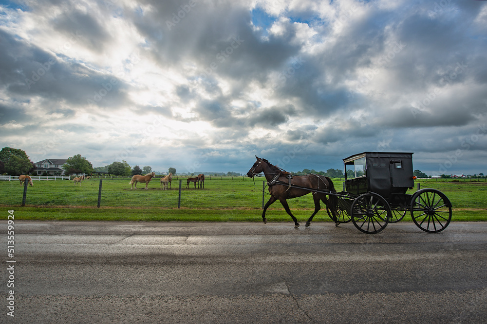 Amish buggy on cloudy morning in rural Indiana