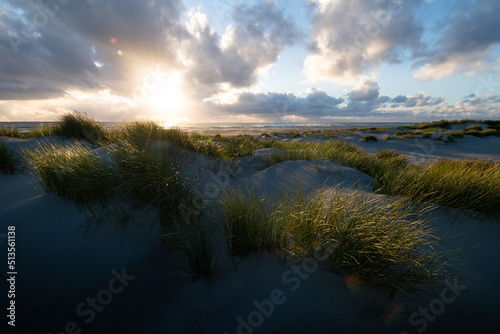 In the dunes of Amrum island Germany with glowing grass and sand during sunset with dramatic sky