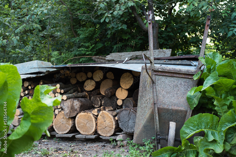 Fototapeta premium iron wheelbarrow in the garden village