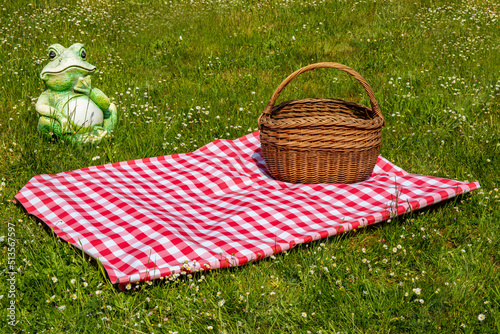 Red checked picnic blanket with empty basket on a meadow with daisies in bloom. Beautiful backdrop for your product placement or montage. Frog in background.