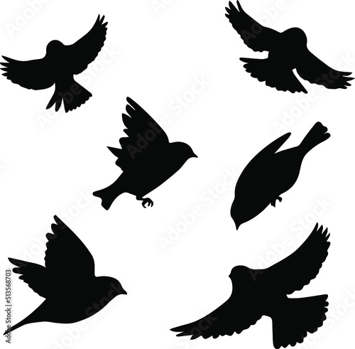 Vector of birds flying silhouette in the solid color