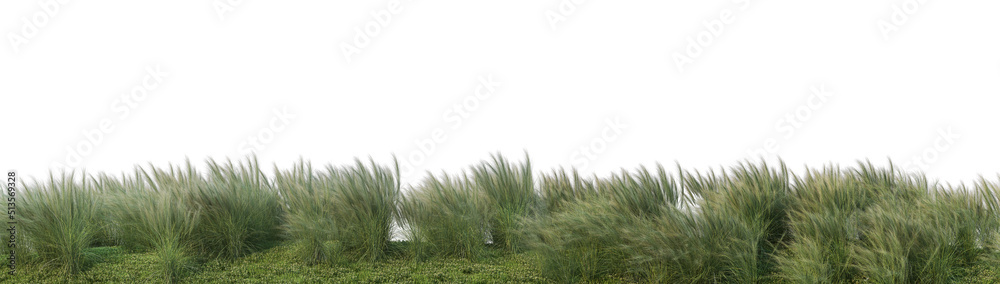 Fototapeta premium 3D render flowers and shrubs with white background