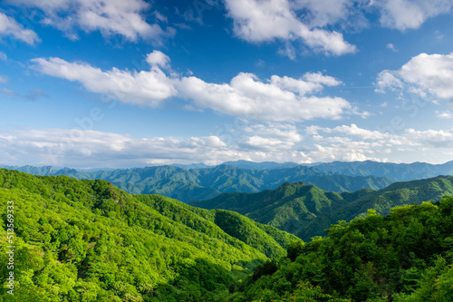 Fototapeta Naklejka Na Ścianę i Meble -  御荷鉾スーパー林道の展望台から見る山の風景