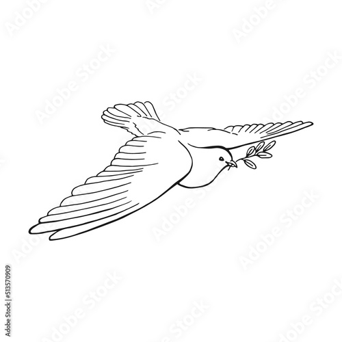Hand drawn dove outline. Line art style isolated on white background.