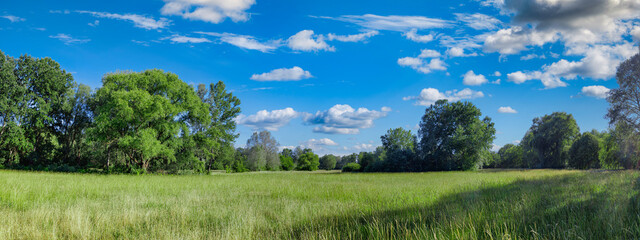 Idyllic mountain landscape with fresh green meadows and blooming wildflowers. Idyllic nature countryside view, rural outdoor natural view. idyllic banner nature, panoramic spring summer scenery
