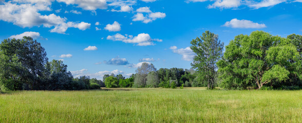 Acrylglasbilder Pistache Idyllic mountain landscape with fresh green meadows and blooming wildflowers. Idyllic nature countryside view, rural outdoor natural view. idyllic banner nature, panoramic spring summer scenery   © icemanphotos