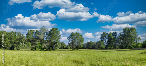 Fototapeta Naklejka Na Ścianę i Meble -  Idyllic mountain landscape with fresh green meadows and blooming wildflowers. Idyllic nature countryside view, rural outdoor natural view. idyllic banner nature, panoramic spring summer scenery

