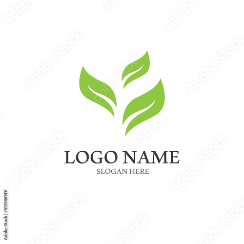 Logos of green Tree leaf ecology nature element vector
