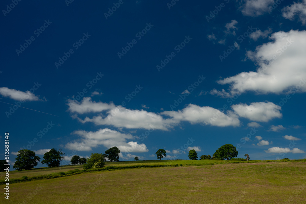 Farmland on hill with trees on top under blue sky with clouds in Wales