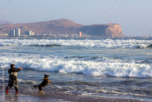 people on the beach