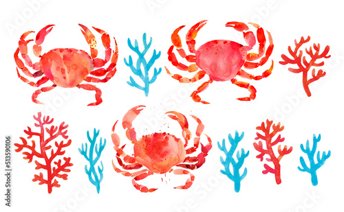 Red crabs and corals. Hand drawn watercolor illustration on white background