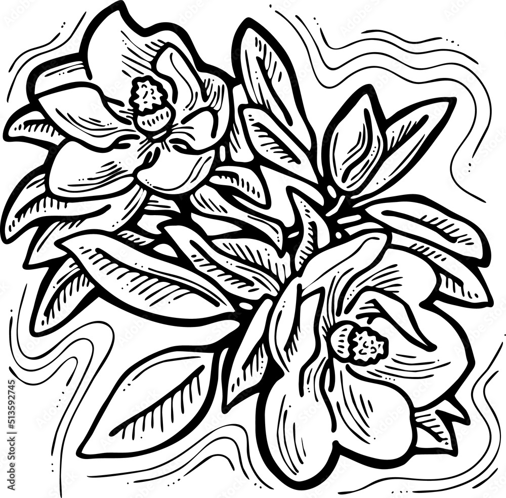 Beautiful spring flowers magnolia with green leaves. Decorative element for post card, print, poster. Wedding blooms to save the date. Hand drawn bohemian style vector illustration. Line art drawing. Beautiful spring flowers magnolia with green leaves. Decorative element for post card, print, poster. Wedding blooms to save the date. Hand drawn bohemian style vector illustration. Line art drawing.