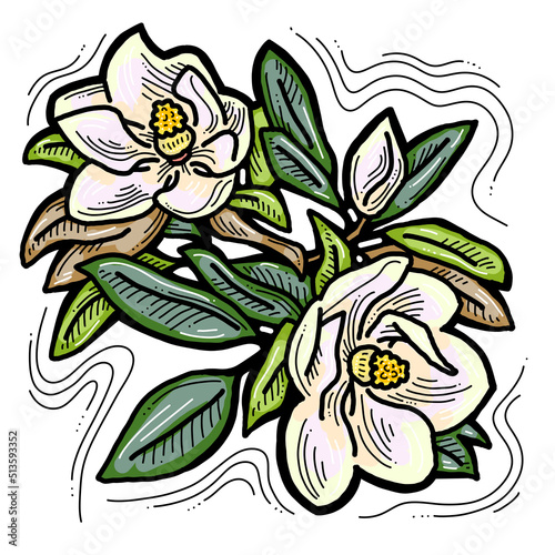 Beautiful spring flowers magnolia with green leaves. Decorative element for post card  print  poster. Wedding blooms to save the date. Hand drawn bohemian retro style illustration. Line art drawing. 