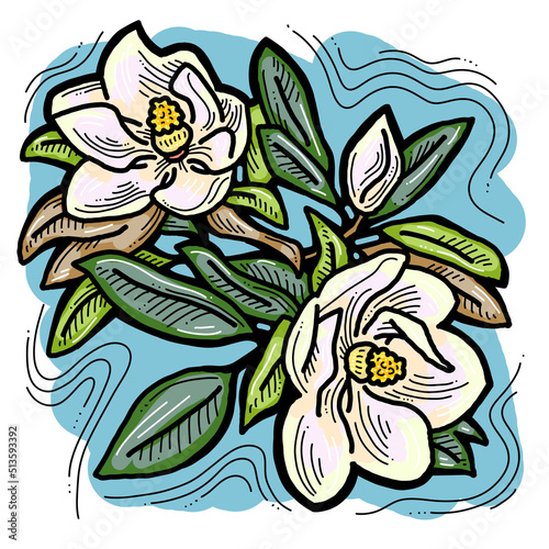 Beautiful spring flowers magnolia with green leaves. Decorative element for post card, print, poster. Wedding blooms to save the date. Hand drawn bohemian retro style illustration. Line art drawing. 