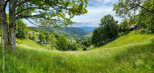 Wieden_2306
