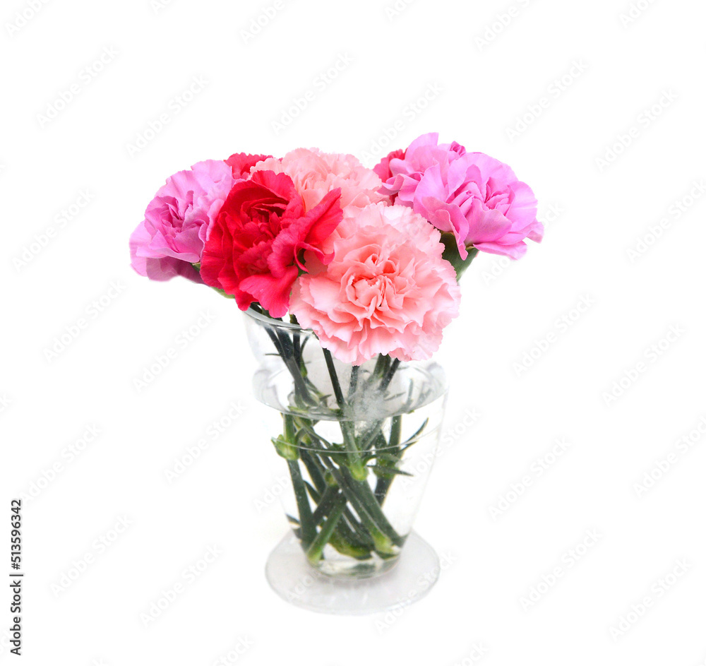 Stack Carnation flowers on white background