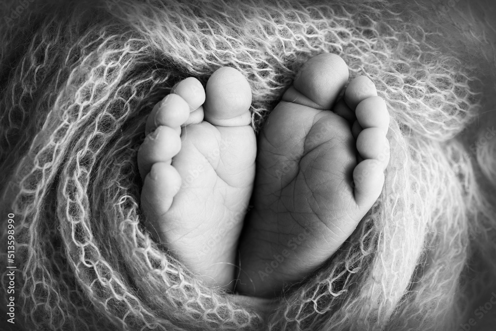 Fototapeta premium Knitted heart in the legs of a baby. Soft feet of a new born in a wool blanket. Close-up of toes, heels and feet of a newborn. Macro black and white photography the tiny foot of a newborn baby.