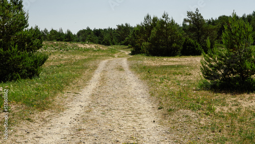 dolomite country roads by the Baltic Sea through juniper bushes and meadows in Estonia