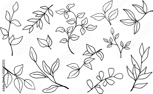 Set of drawn branches in vector. Ink. Plant sketching. Painted plants. A set of branches drawn in black on a white background.