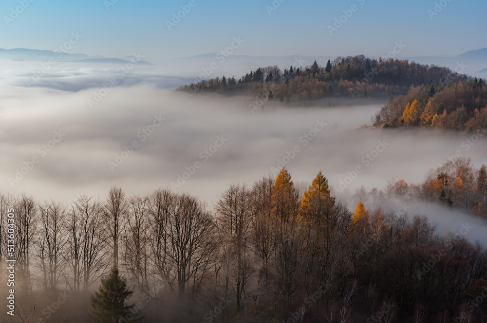 Misty mountain forest landscape in the morning, Beskid Sadecki mountain range, Poland.