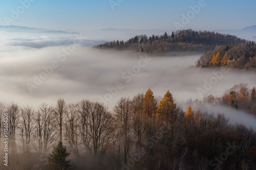 Fototapeta Naklejka Na Ścianę i Meble -  Misty mountain forest landscape in the morning, Beskid Sadecki mountain range, Poland.