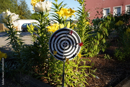 trying to hit the dartboard	
