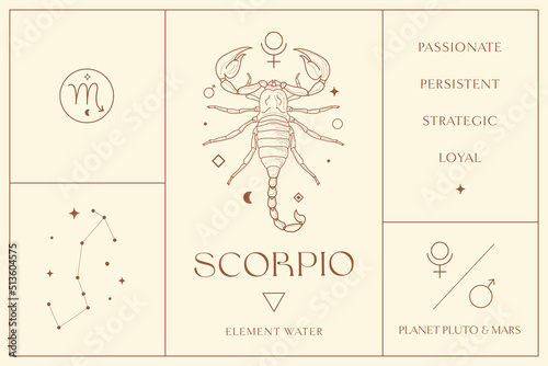 Scorpio Zodiac Sign Design Illustrations. Esoteric Vector Element, Icon