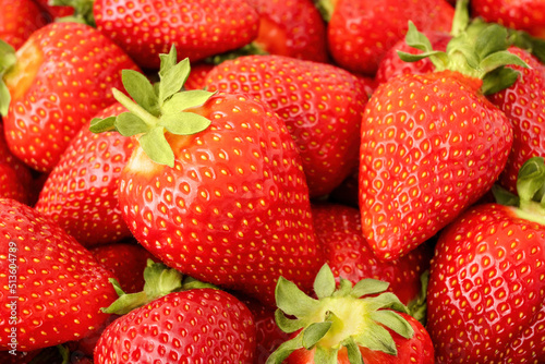 Strawberry background close up. Many fresh red berries with green leaves. Organic fruit for healthy nutrition.