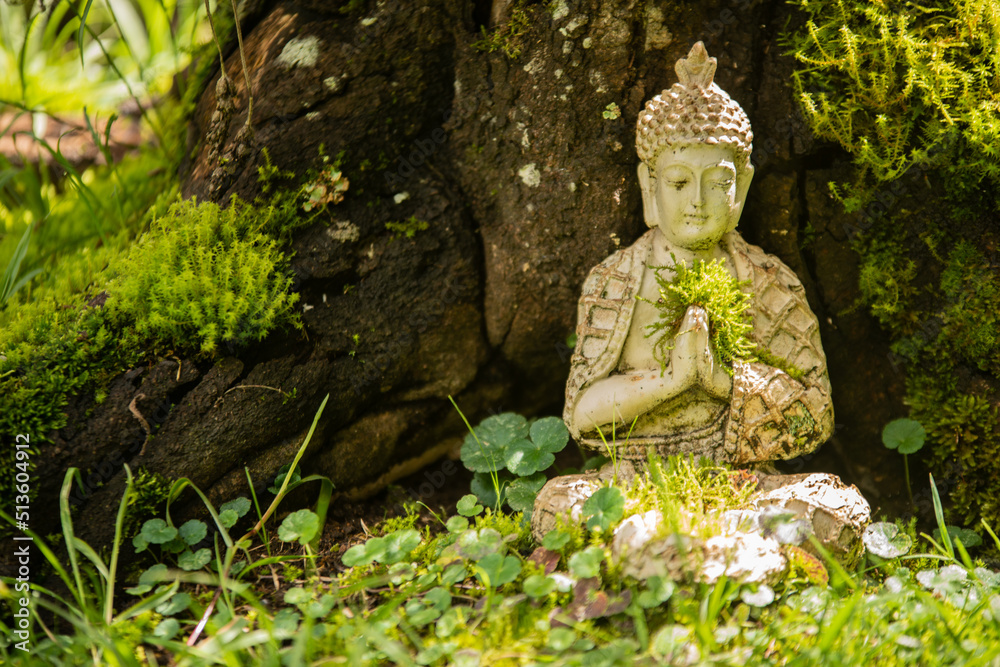 buddha statue in the garden