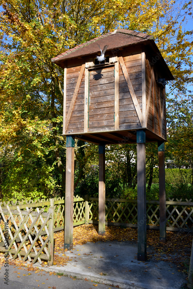 Wood dovecote on stilts in the french park Wood dovecote on stilts in the french park