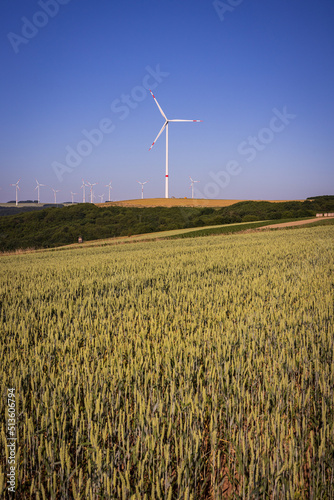 Wind Farm in Germany with a view of a lush green and yellow field with blue sky. Shot in Otterberg Germany