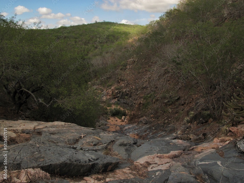 landscape with caatinga vegetation and large rocks on a sunny day