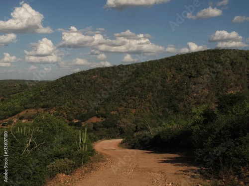 dirt road in the middle of the caatinga forest on a sunny day