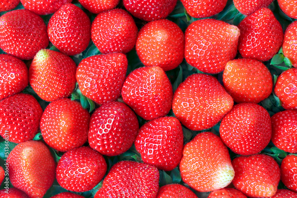 Fresh ripe strawberries background top view. Harvested on farm organic strawberry wallpaper. Fresh ripe strawberries background top view. Harvested on farm organic strawberry wallpaper.
