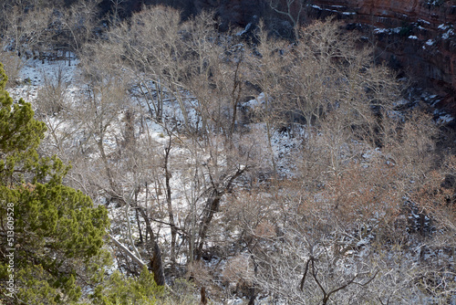 High view of snow covered trees looking down on Oak Creek Canyon Sedona