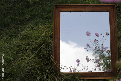 window with flowers