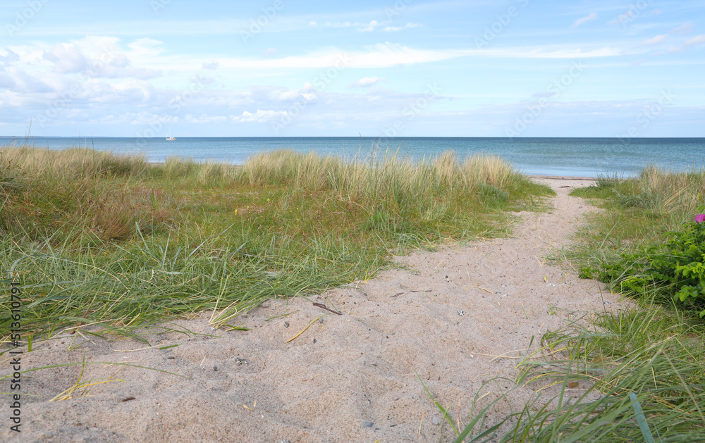 Path through the sand dunes at the coast of the Baltic Sea, Marielyst, Denmark Path through the sand dunes at the coast of the Baltic Sea, Marielyst, Denmark