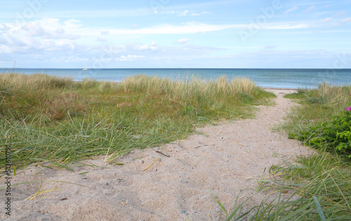Path through the sand dunes at the coast of the Baltic Sea, Marielyst, Denmark