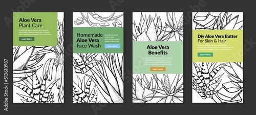 Homemade aloe vera plant care benefits vertical landing page engraved sketch poster set vector