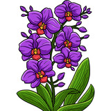 Orchid Flower Cartoon Colored Clipart Illustration