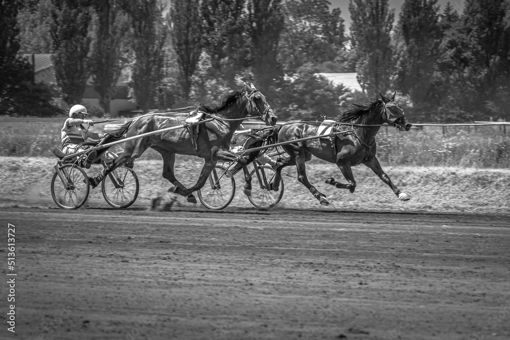 Obraz premium Horses in motion. Poster with horses. Equestrian sports. Horse racing. Sports with animals. Grace of horses.