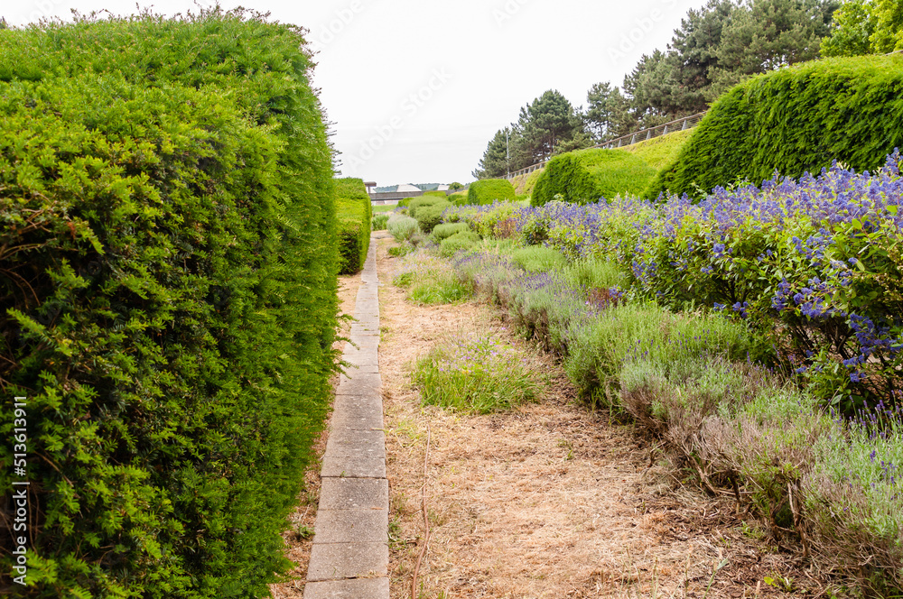 Thames Barrier Park, Silvertown, Newham, London,  England, June 19, 2022