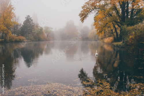 Foggy sunrise in a park in Autumn time. Nature background. Moments of happinness. Comfort zone. Self care. Travel concept photo